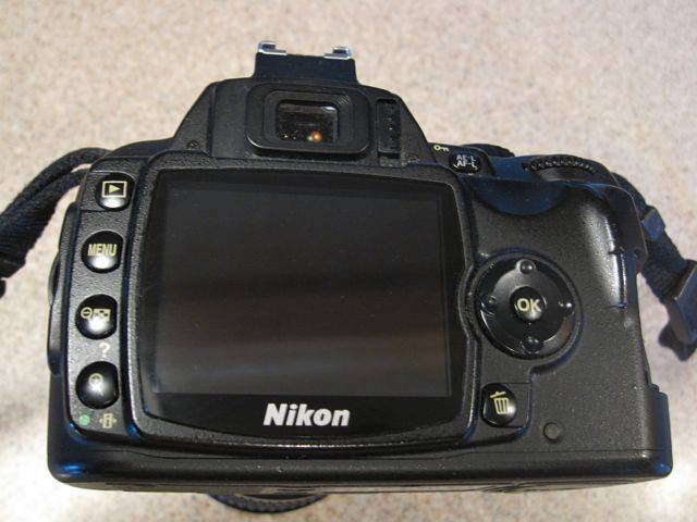 D40x-3